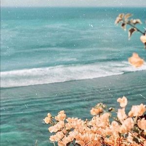 Meet your Posher, Afrida